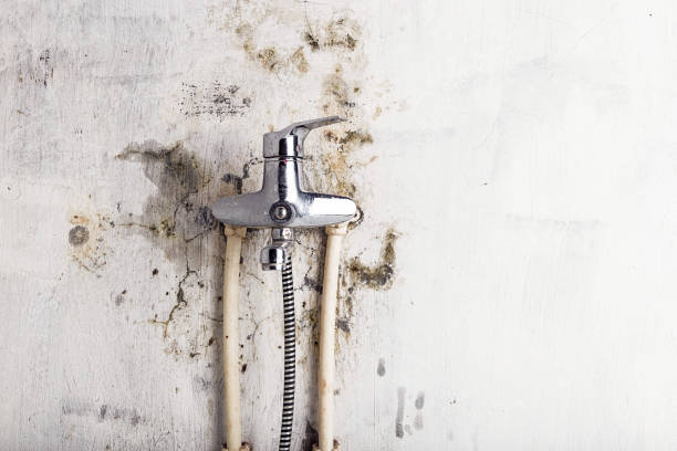 Best Water Damage Restoration  in Carnesville, GA
