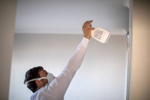 Best Commercial Mold Removal  in Carnesville, GA