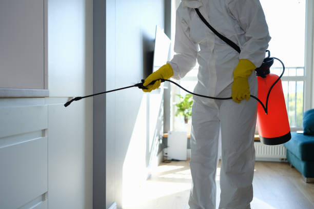 Best Mold Removal Specialists  in Carnesville, GA