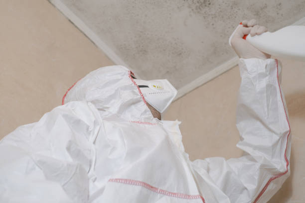 Best Emergency Mold Removal  in Carnesville, GA